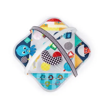 Baby Einstein Sensory Play Space Newborn-to-Toddler Discovery Gym and Play Mat