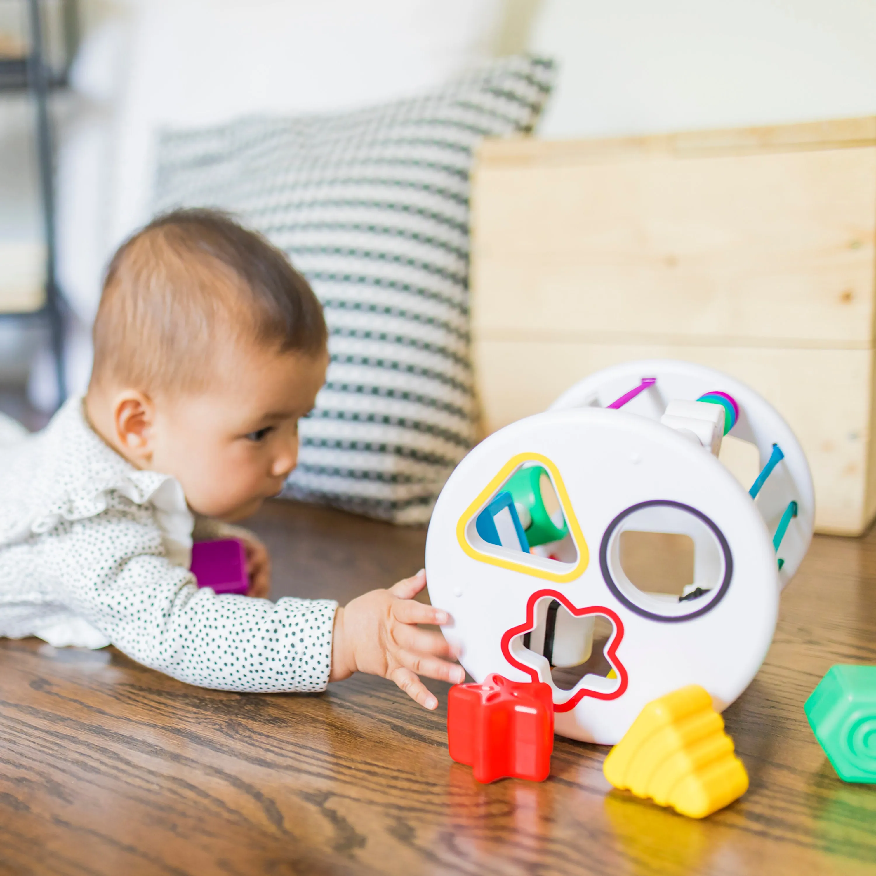 Baby Einstein Zen & Cal's Playground Sort & Discover Shapes Sensory Toy Set