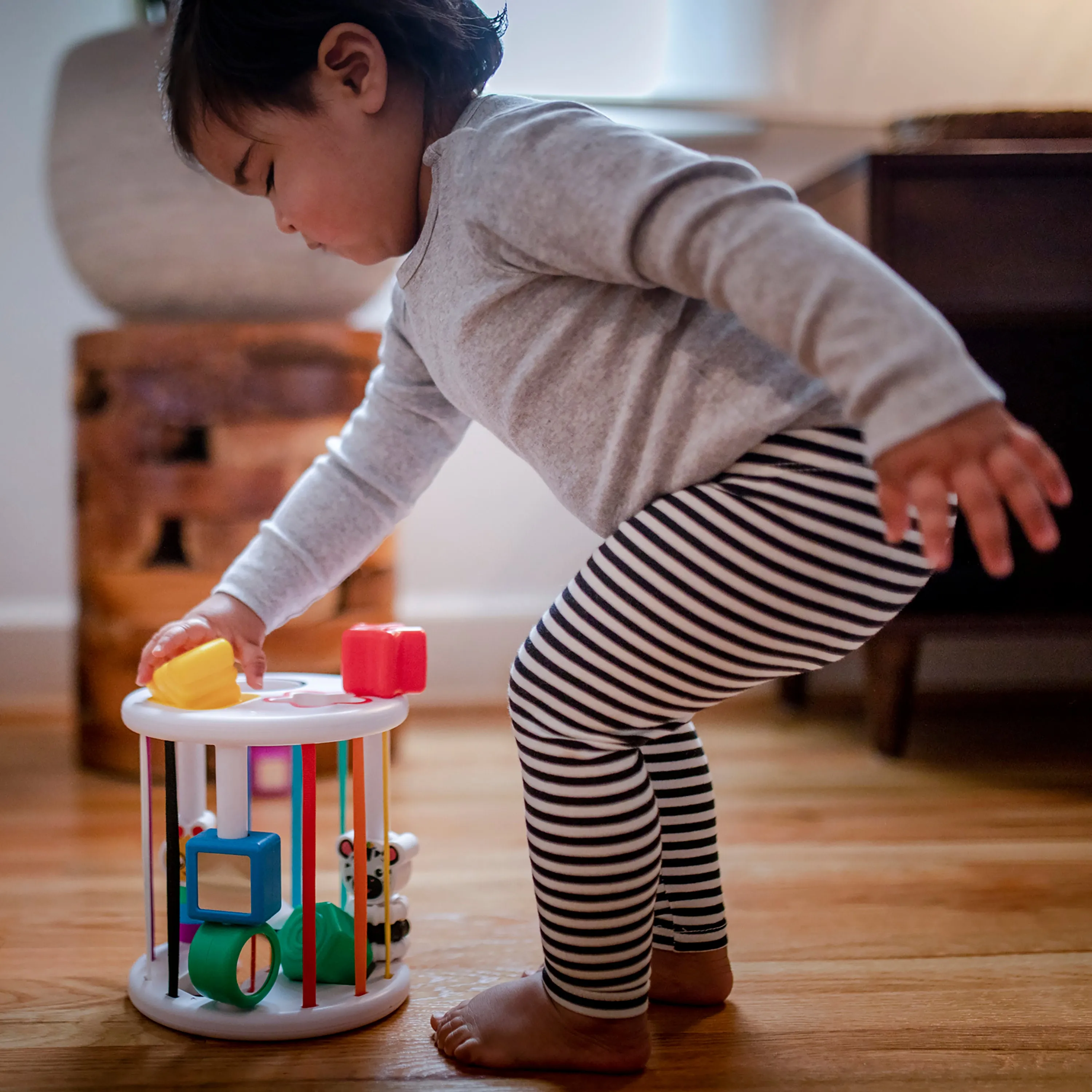 Baby Einstein Zen & Cal's Playground Sort & Discover Shapes Sensory Toy Set