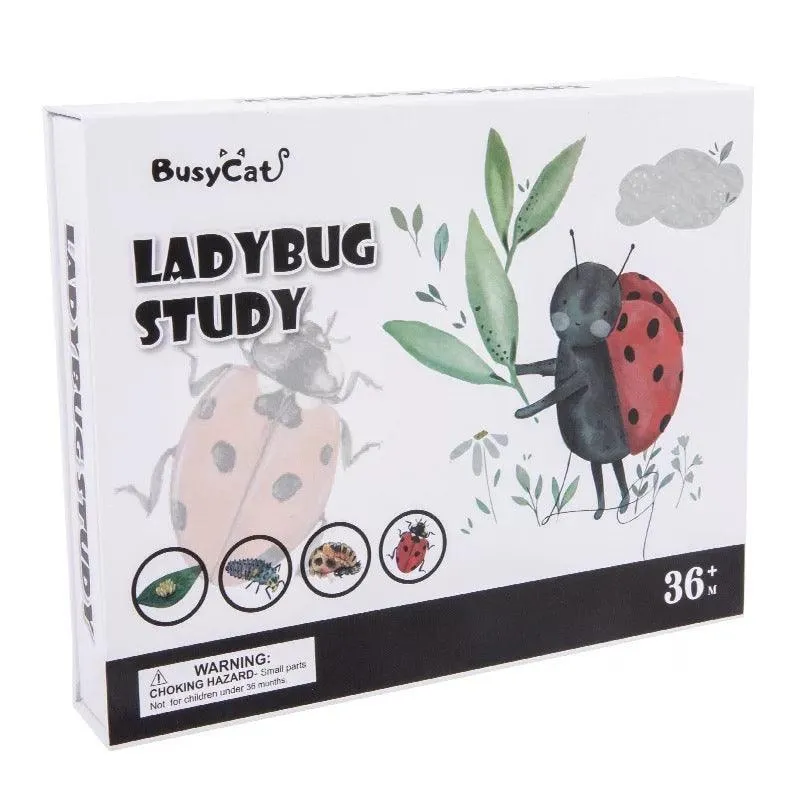 Montessori Wooden Maths Learning | Ladybug Study