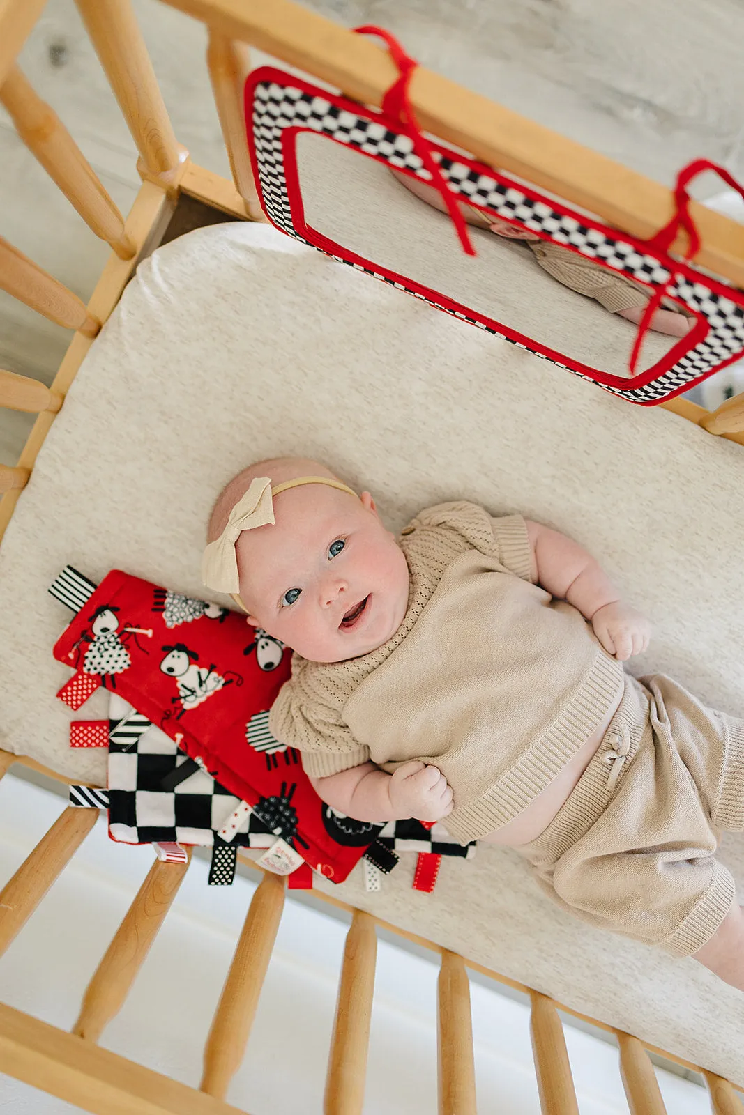 Reversible Sleepy Sheep Lovey with Taggies (12" Square)