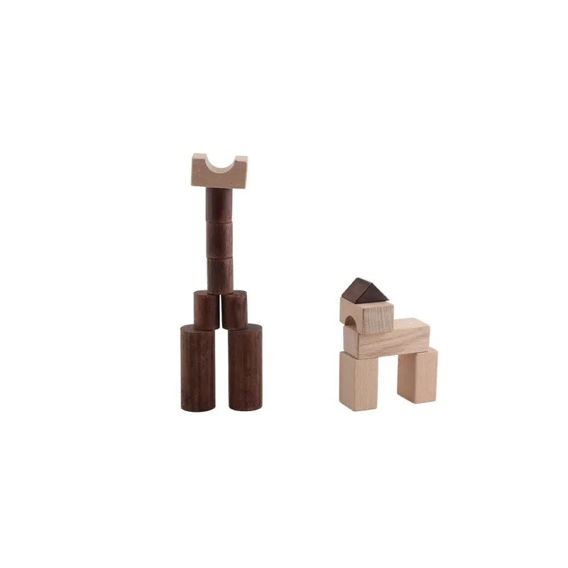 Wooden Building Blocks - 50 Pcs